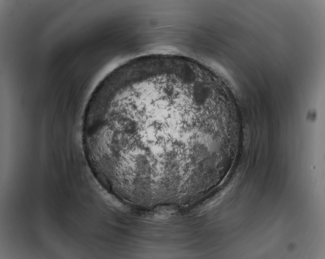 X0000100491326200806201644