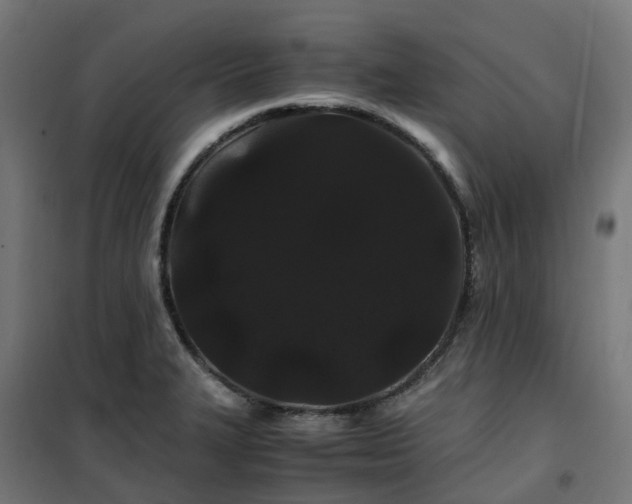X0000100491327200806201644