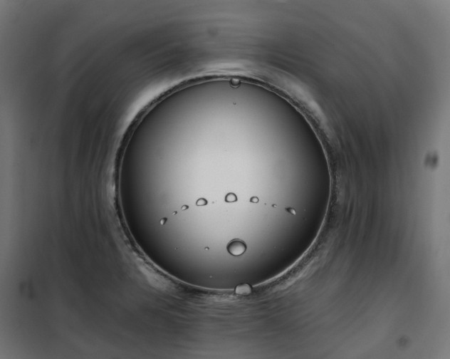 X0000100491328200806201644
