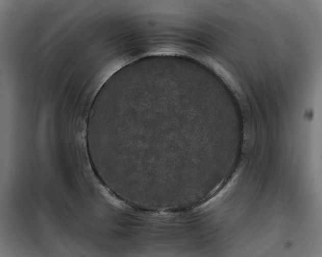 X0000100491329200806201644