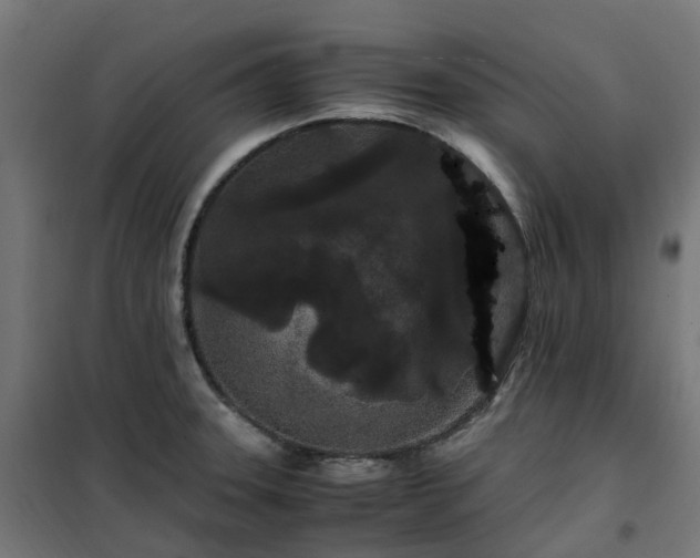 X0000100491331200806201644