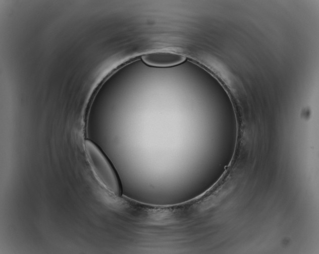 X0000100491332200806201644