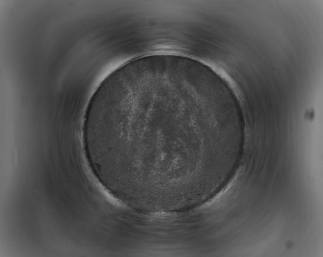 X0000100491333200806201644