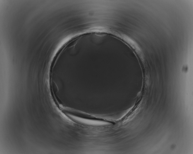 X0000100491334200806201644
