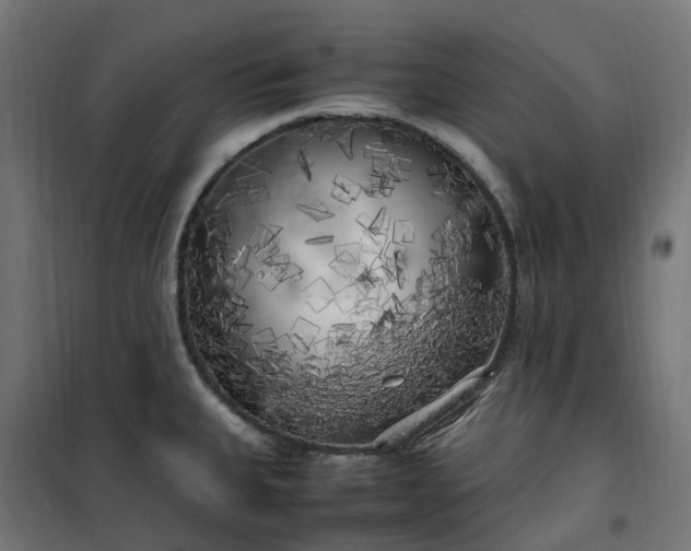 X0000100491335200806201644