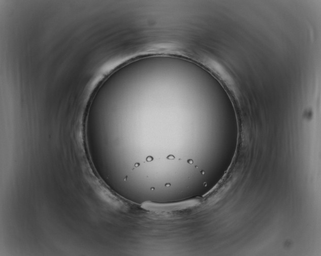 X0000100491336200806201644