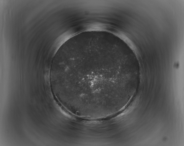 X0000100491337200806201644