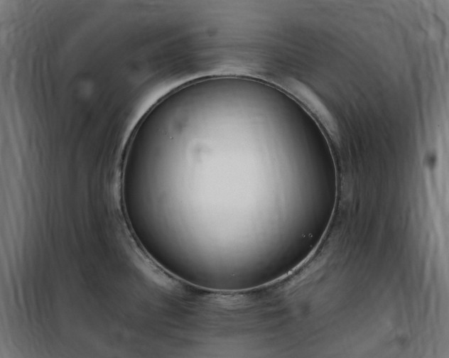 X0000100491340200806201644