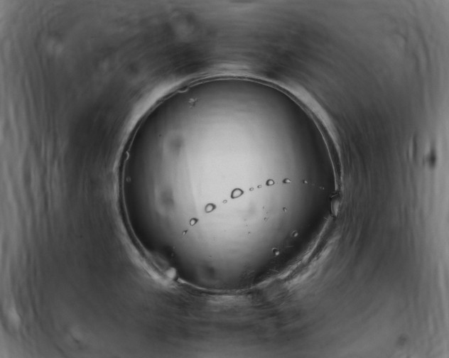 X0000100491341200806201644