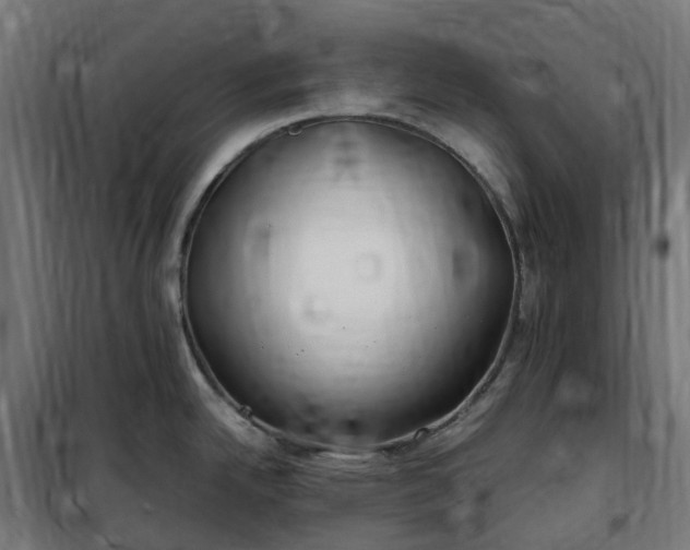 X0000100491342200806201644
