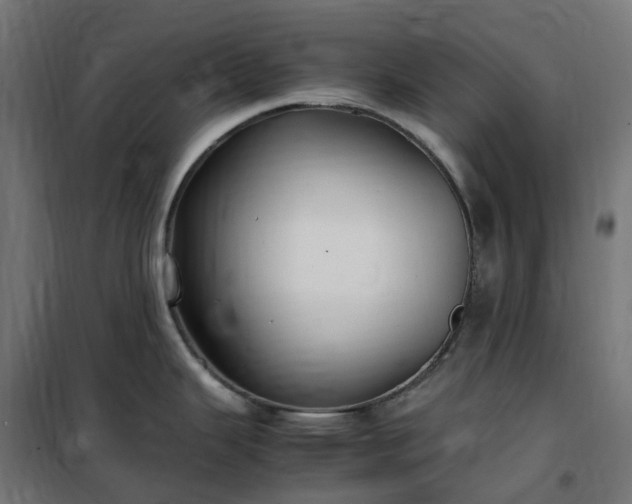 X0000100491343200806201644
