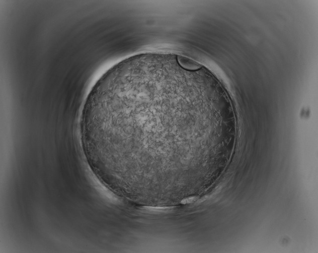 X0000100491344200806201644