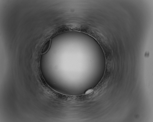 X0000100491345200806201643