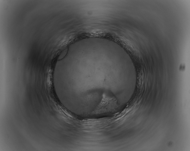 X0000100491346200806201643