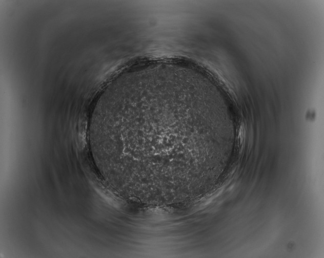 X0000100491348200806201643