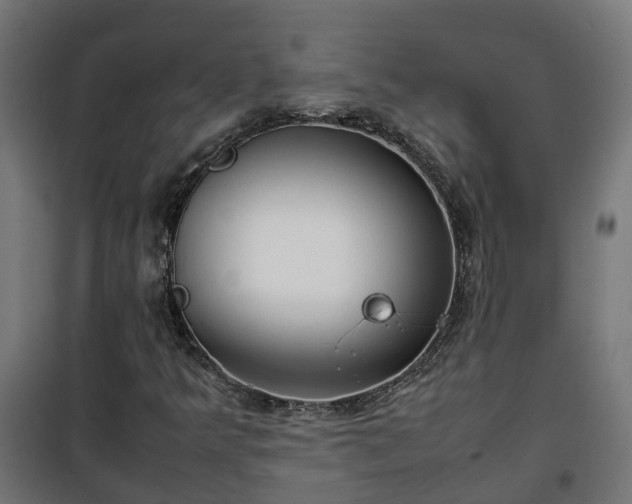 X0000100491349200806201643