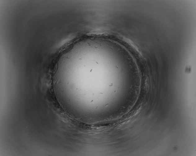 X0000100491350200806201643