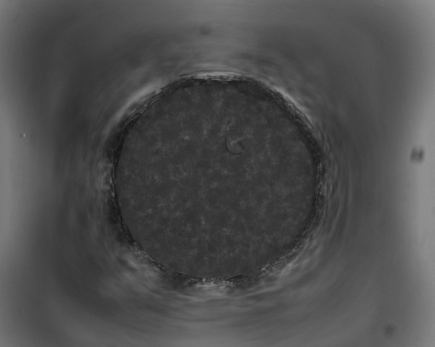 X0000100491351200806201643