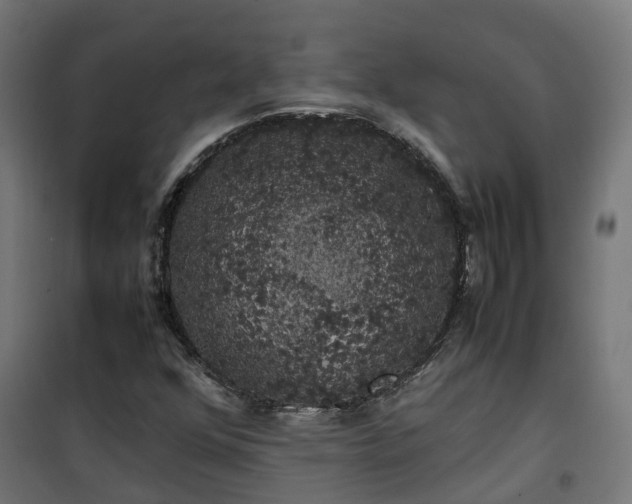 X0000100491352200806201643