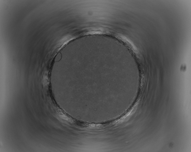 X0000100491353200806201643