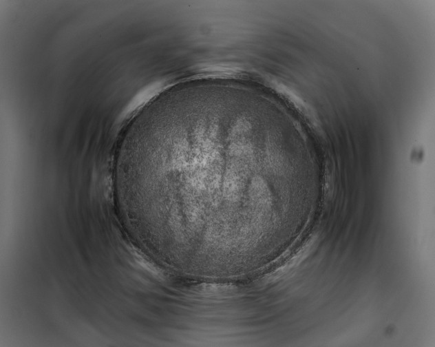 X0000100491354200806201643