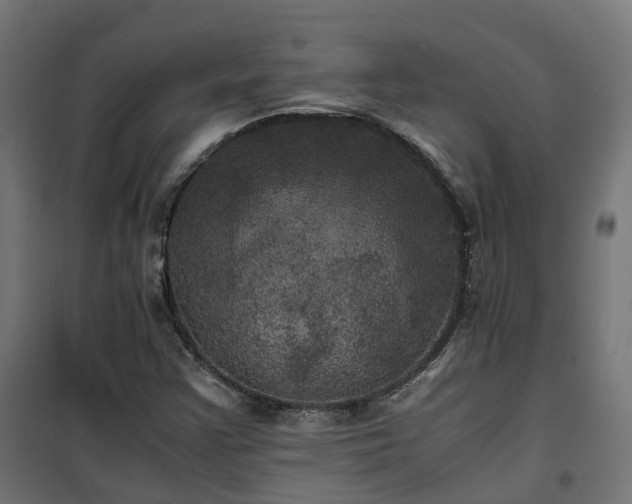 X0000100491355200806201643