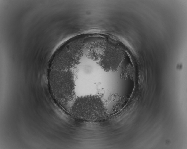 X0000100491356200806201643