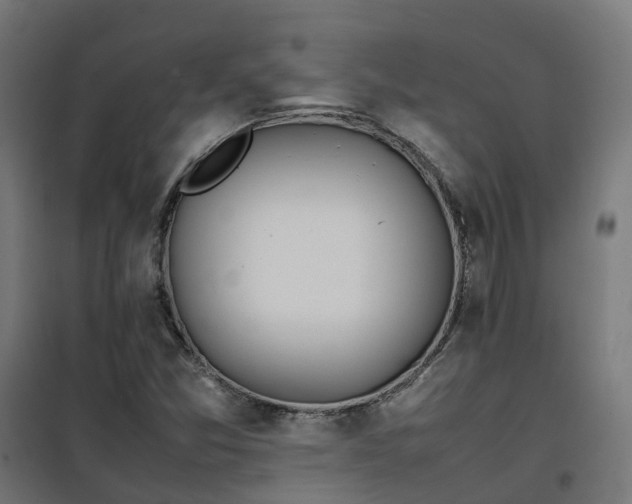 X0000100491357200806201643