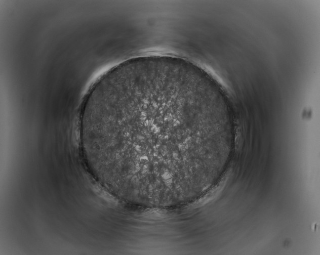 X0000100491358200806201643