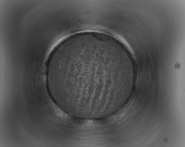 X0000100491360200806201643