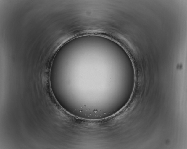 X0000100491361200806201643