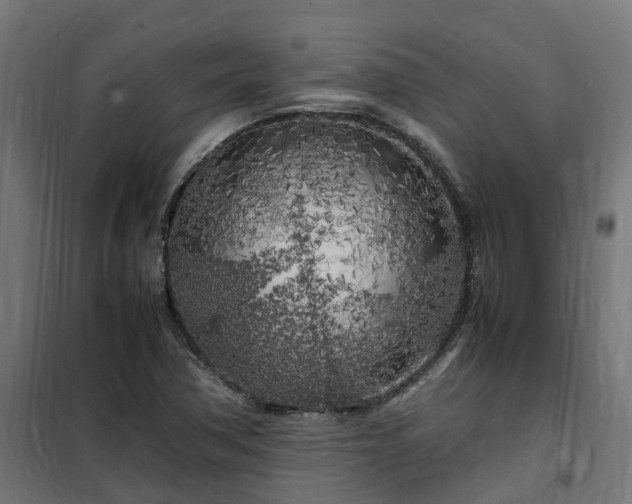 X0000100491362200806201643