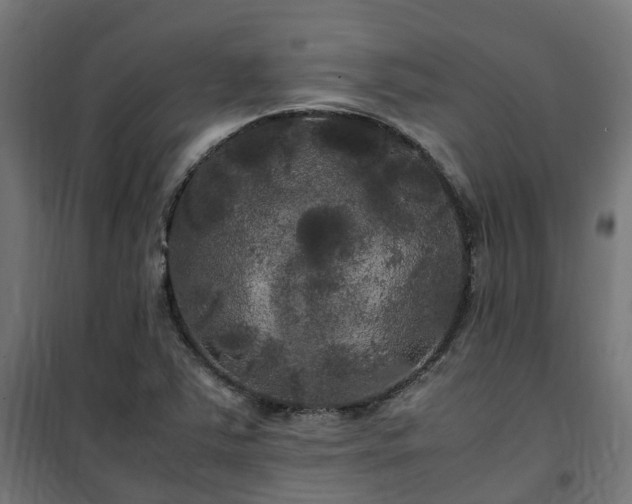 X0000100491363200806201643