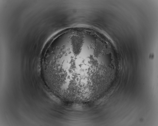 X0000100491364200806201643