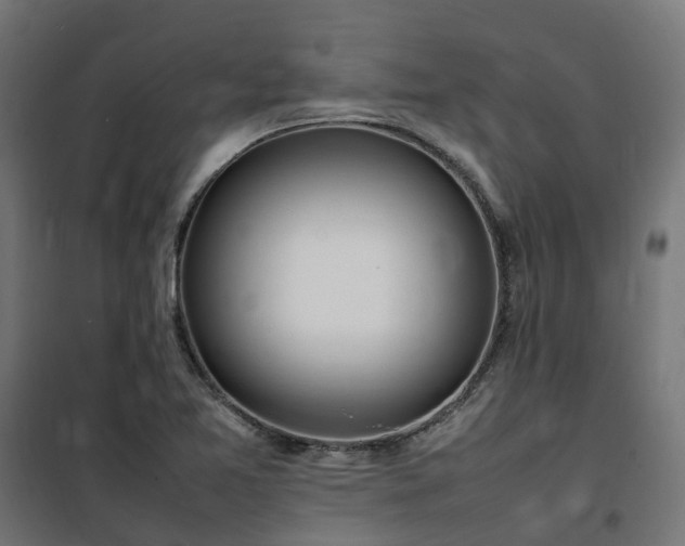 X0000100491365200806201643