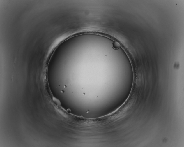 X0000100491366200806201643