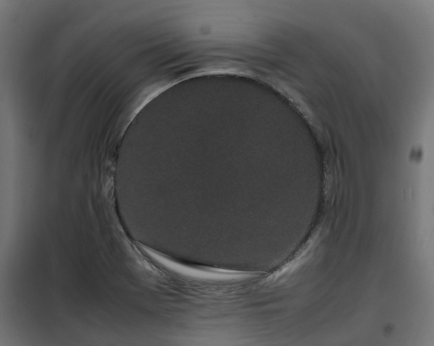 X0000100491369200806201643