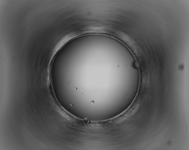 X0000100491370200806201643