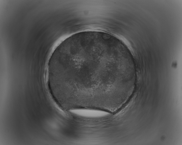 X0000100491371200806201643