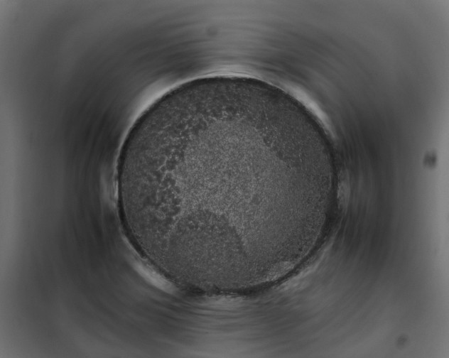 X0000100491372200806201643