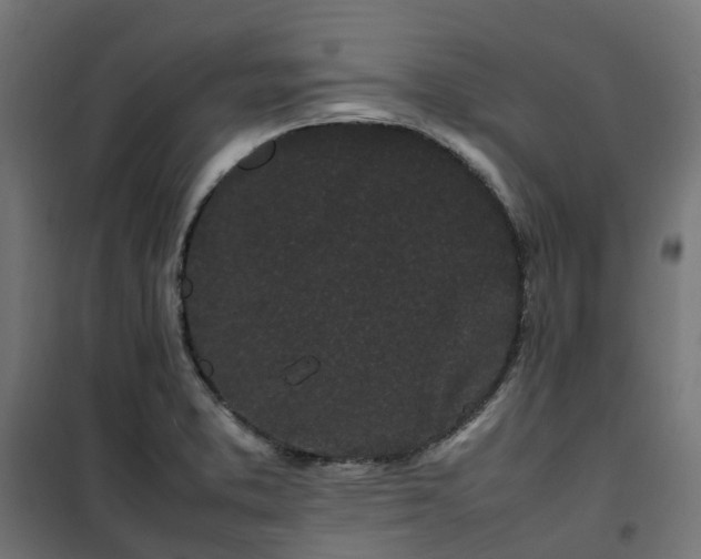 X0000100491373200806201643