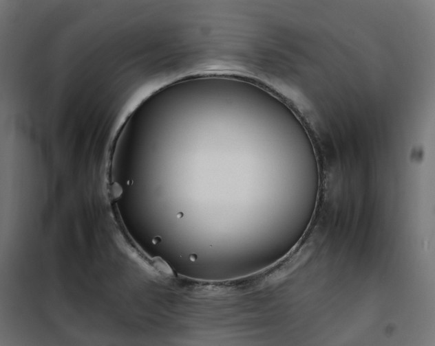 X0000100491374200806201643