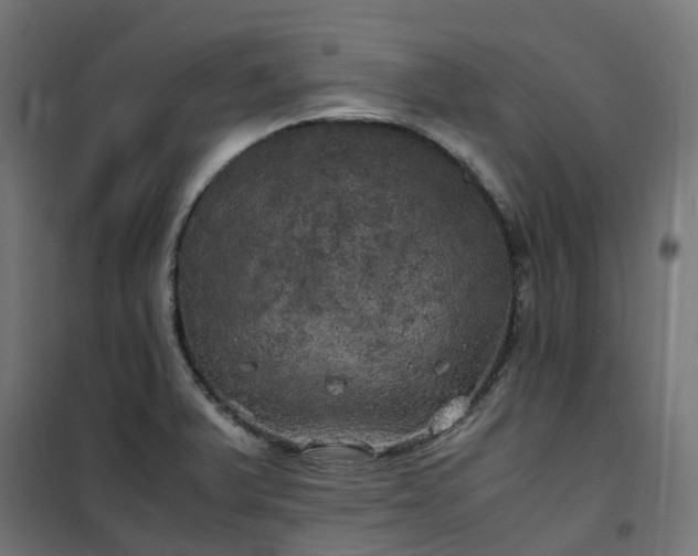 X0000100491375200806201643
