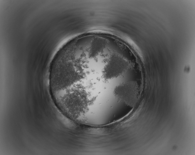 X0000100491376200806201643