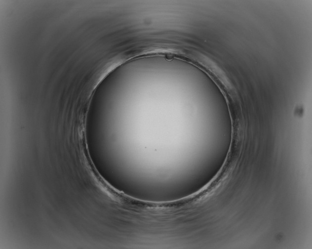 X0000100491377200806201643
