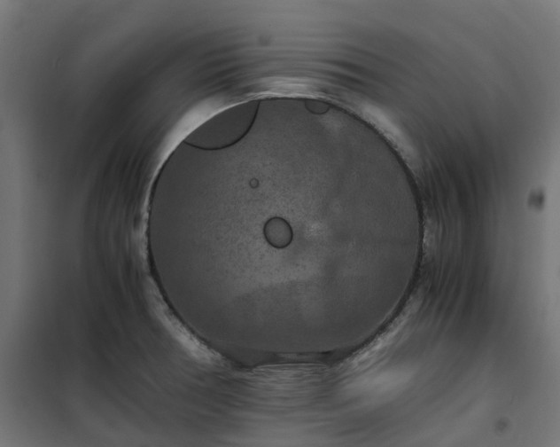 X0000100491378200806201643