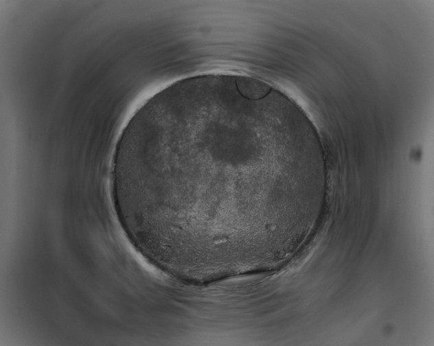 X0000100491379200806201643
