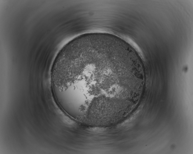 X0000100491380200806201643