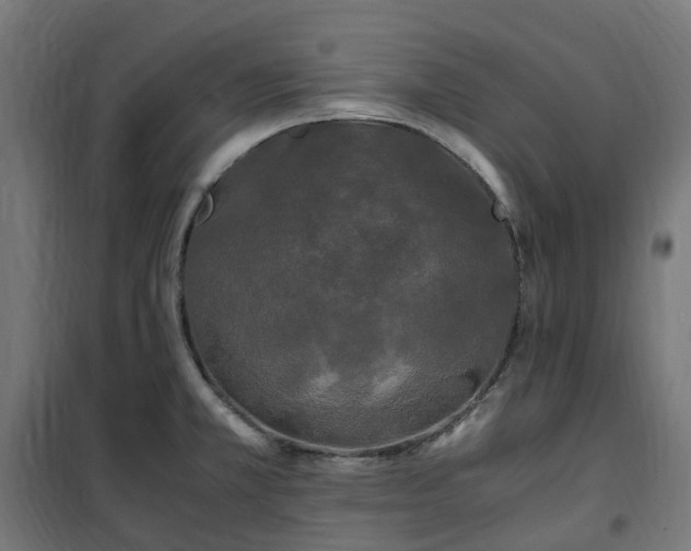 X0000100491381200806201643