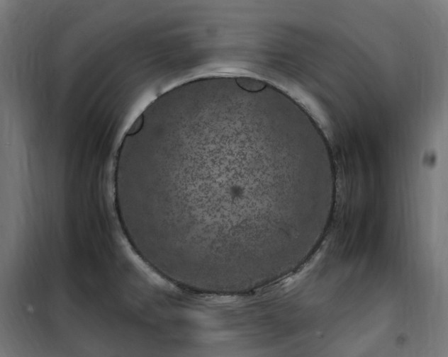 X0000100491382200806201643